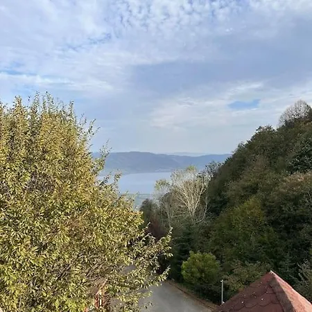 Sapanca Genis Gol Manzarali Villa